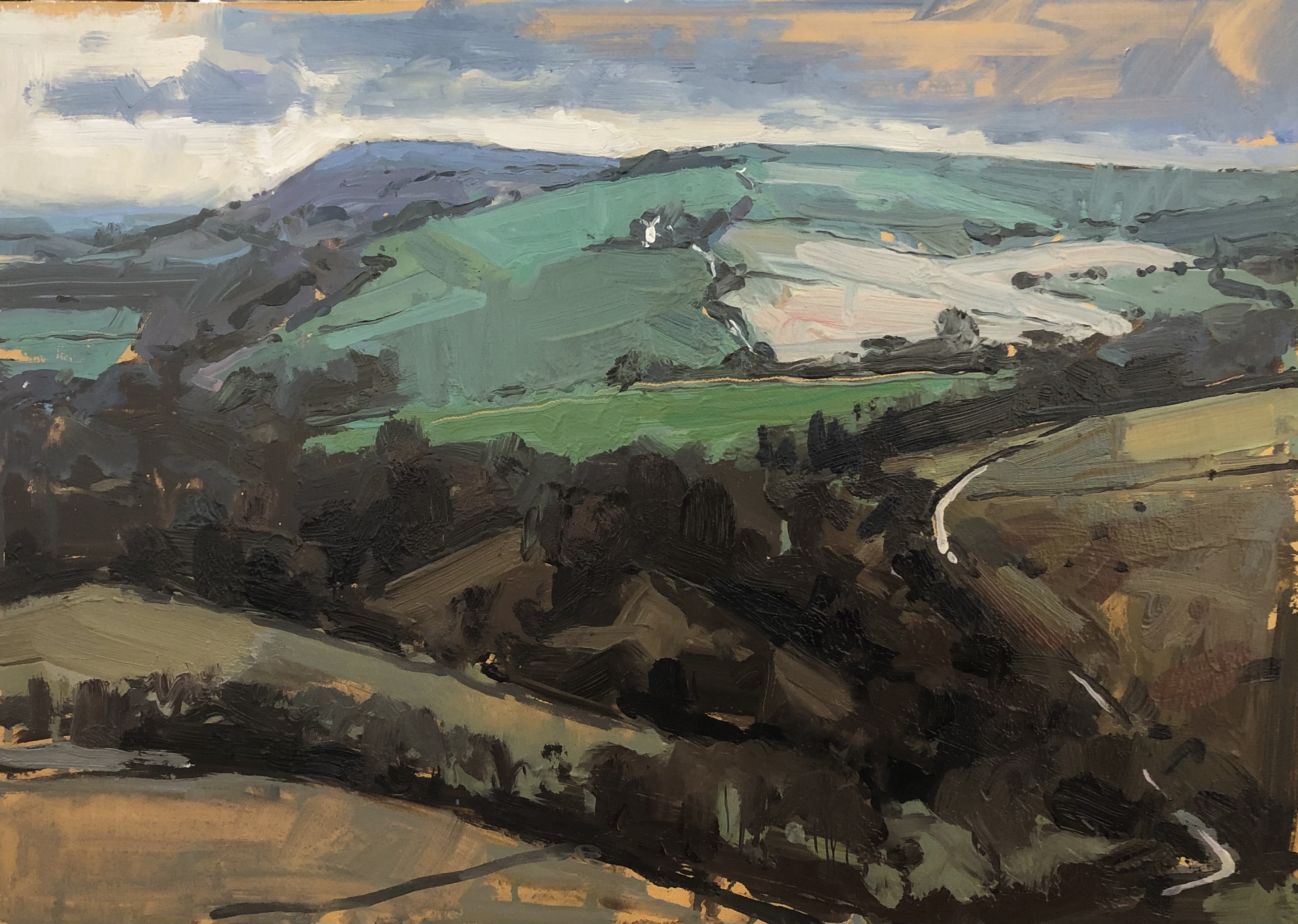 The way to Ditchling Beacon, winter study 2025